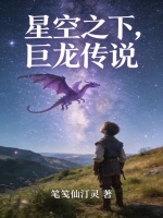星空之下，巨龙传说封面