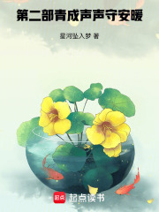 第二部青成声声守安暖在线阅读