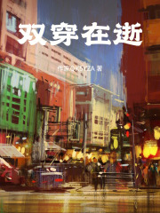 双穿在逝在线阅读
