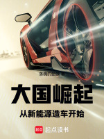 我重生造_《大国崛起，从新能源造车开始》最新章节在线阅读_全文完结免费无删减_第1页 - 小说网