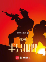 代号，半只狐狸