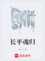 长平魂归在线阅读