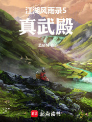 江湖风雨录5真武殿在线阅读