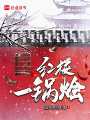 红楼一锅烩在线阅读