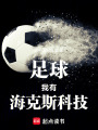 足球：我有海克斯科技在线阅读