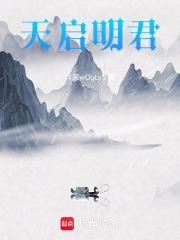 天启明君