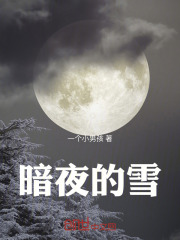 暗夜的雪