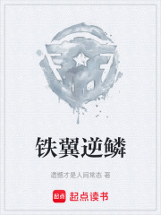 铁翼逆鳞在线阅读