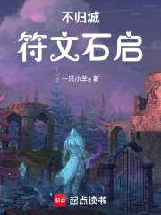 不归城符文石启在线阅读
