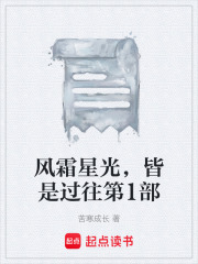 风霜星光，皆是过往第1部在线阅读