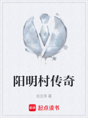 阳明村传奇在线阅读