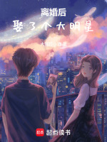 离婚后娶了个大明星封面
