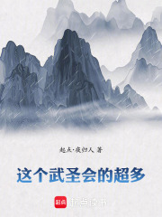 这个武圣会的超多