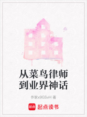 从菜鸟律师到业界神话在线阅读