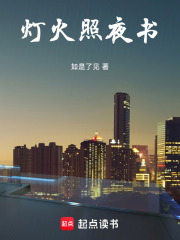 灯火照夜书在线阅读