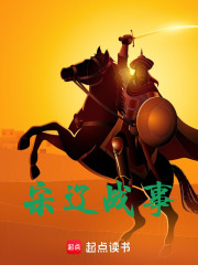 宋辽战事在线阅读