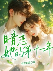 暗恋她的第十一年在线阅读