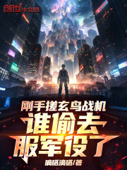 刚手搓玄鸟战机，谁偷去服军役了