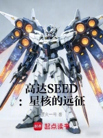高达SEED：星核的远征