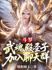 斗罗：武魂殿圣子，加入聊天群