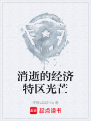 消逝的经济特区光芒在线阅读