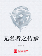 无名者之传承在线阅读