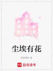 尘埃有花在线阅读
