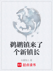 鹈鹕镇来了个新镇长