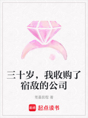 三十岁，我收购了宿敌的公司在线阅读