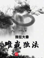 我在大秦唯我独法在线阅读