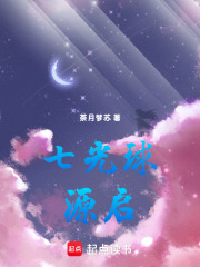 七光球：源启在线阅读