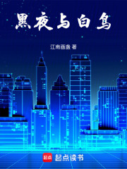 黑夜与白鸟在线阅读