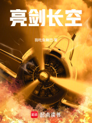 亮剑长空在线阅读