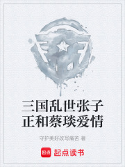 三国乱世张子正和蔡琰爱情在线阅读