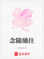 念随驰往在线阅读