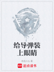 给导弹装上眼睛在线阅读