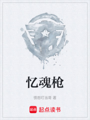 忆魂枪在线阅读