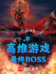 我，高维游戏，最终BOSS