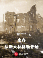 生存：从斯大林格勒开始封面