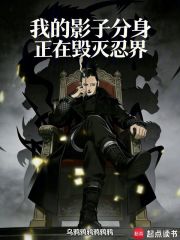 我的影子分身正在毁灭忍界