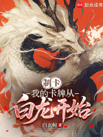制卡：我的卡牌从白龙开始在线阅读