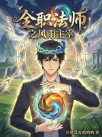 全职法师之风雨主宰
