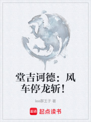 堂吉诃德：风车停龙斩！在线阅读