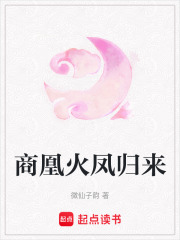 商凰火凤归来
