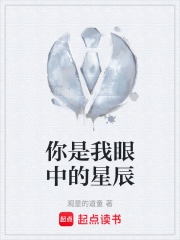 你是我眼中的星辰在线阅读