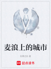麦浪上的城市