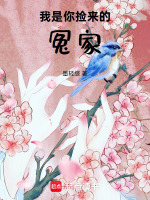 我是你捡来的冤家最新章节在线阅读