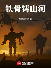 铁骨铸山河一在线阅读