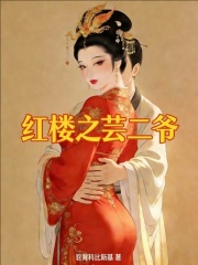 红楼之芸二爷