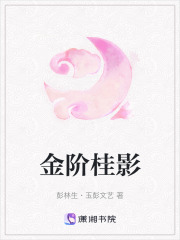 金阶桂影在线阅读